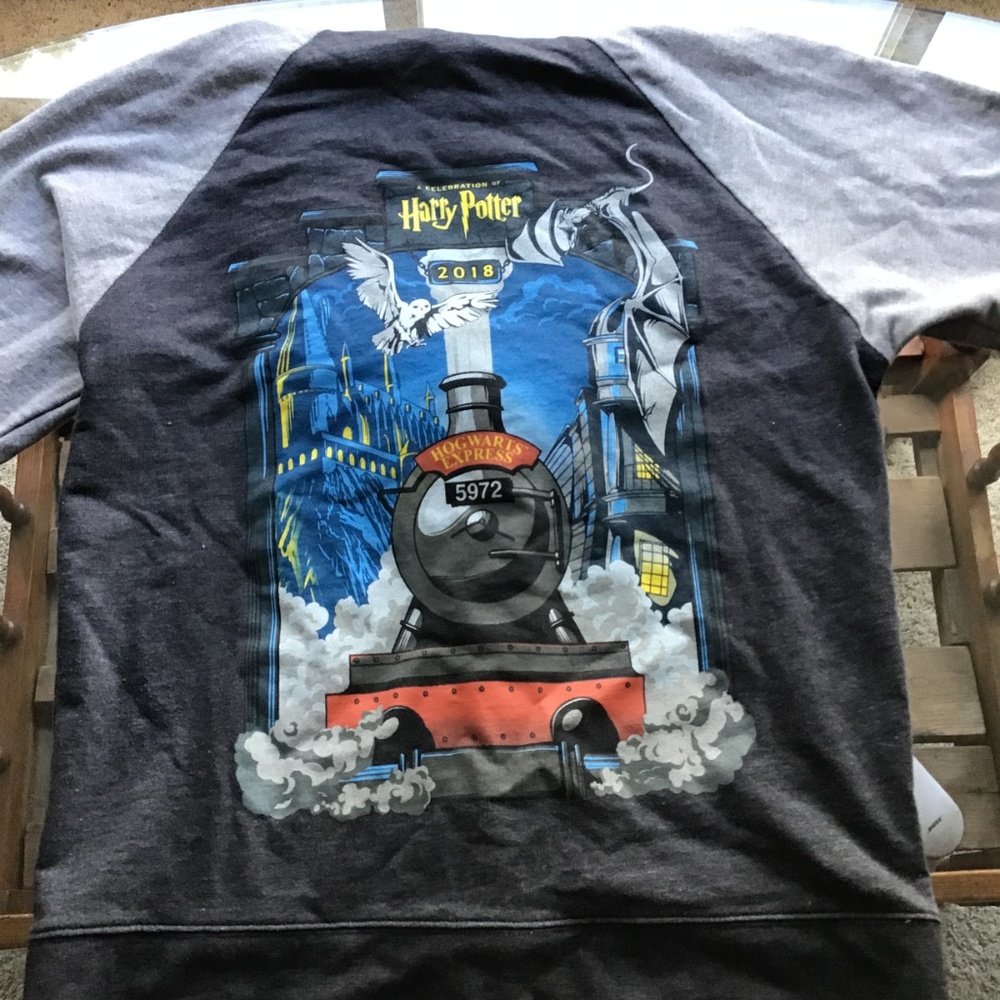 Harry Potter Anniversary Hoodie